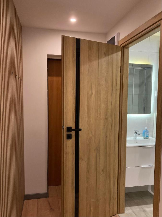 פולניסה-ז'דוז' Apartament 221 Przy Niedzwiadku מראה חיצוני תמונה